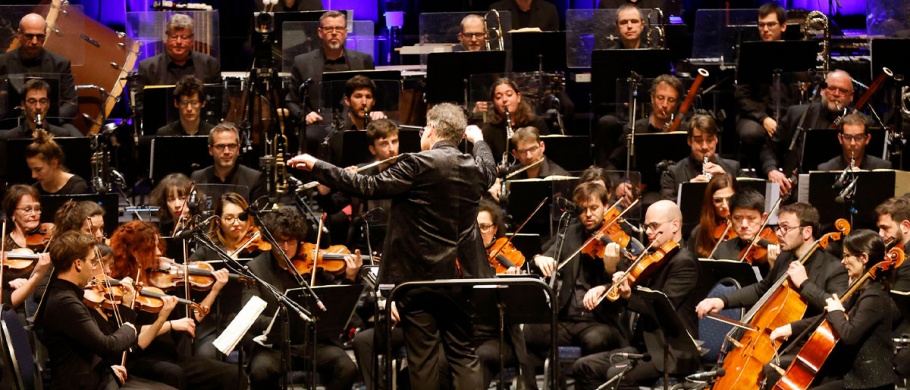 <p><strong>MADE IN FRANCE</strong></p>