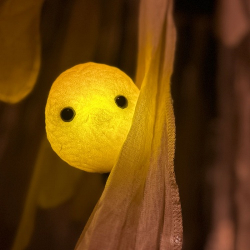 <p><strong>(É)MOUVOIR</strong></p>