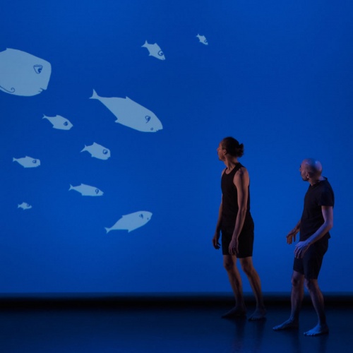 <p><strong>LE POISSON QUI VIVAIT DANS LES ARBRES</strong></p>