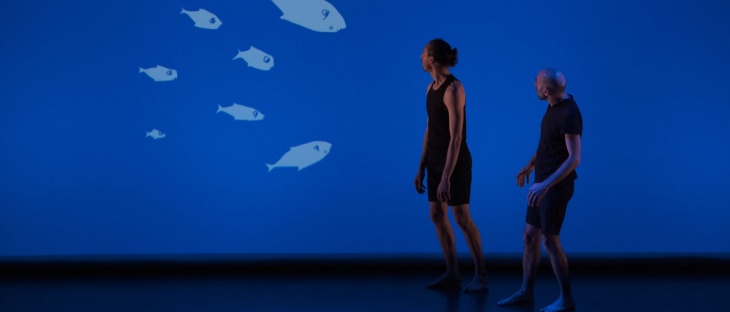 <p><strong>LE POISSON QUI VIVAIT DANS LES ARBRES…</strong></p>