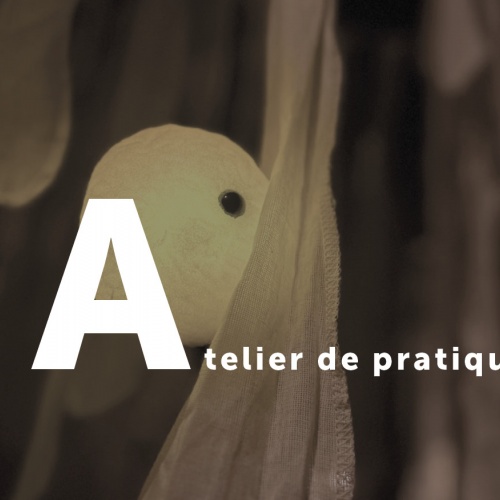 <p><strong>(É)MOUVOIR</strong>
	<br><strong>ATELIER DE PRATIQUE</strong></p>